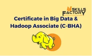 Certificate in Big Data & Hadoop Associate (C-BHA)