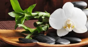 Certificate in Hot Stone Massage